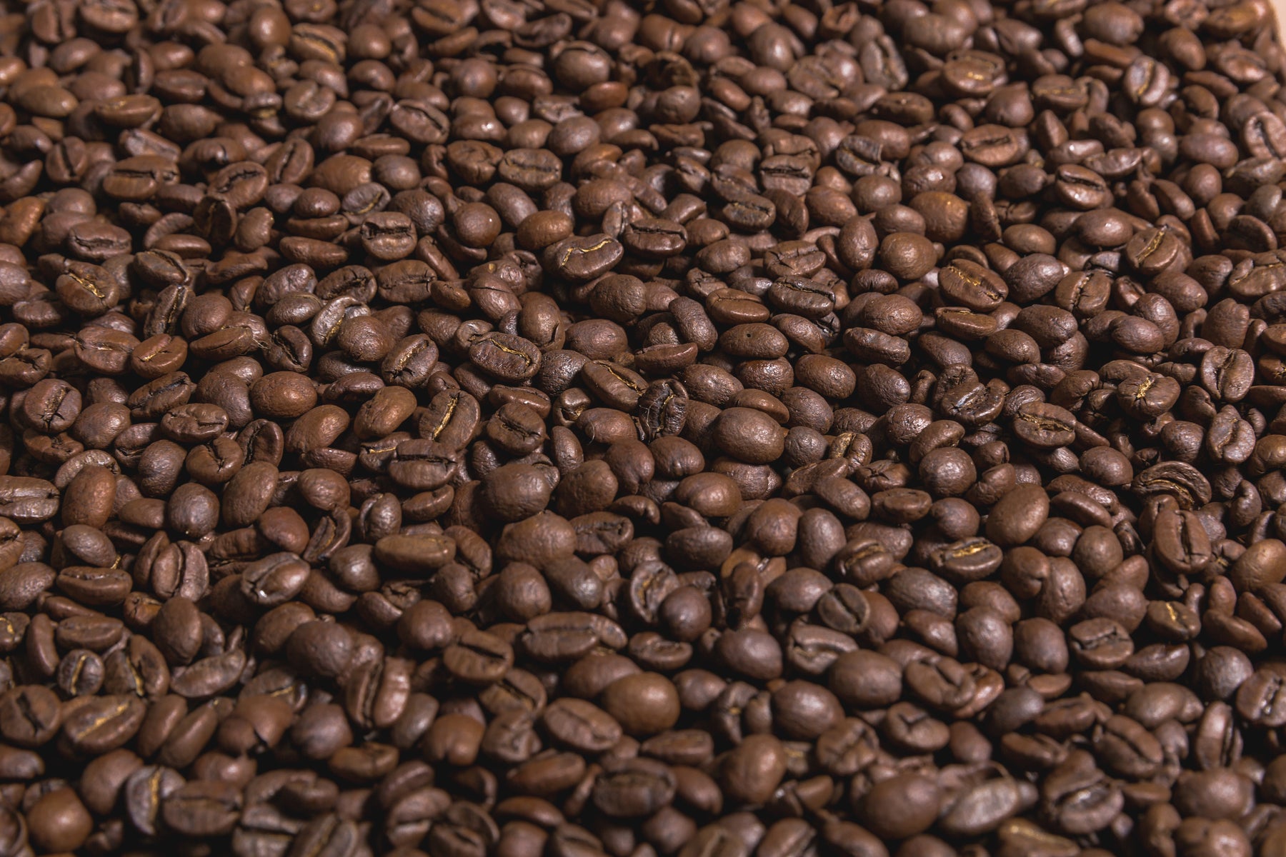 Café de especialidad Yarumo, recién tostado